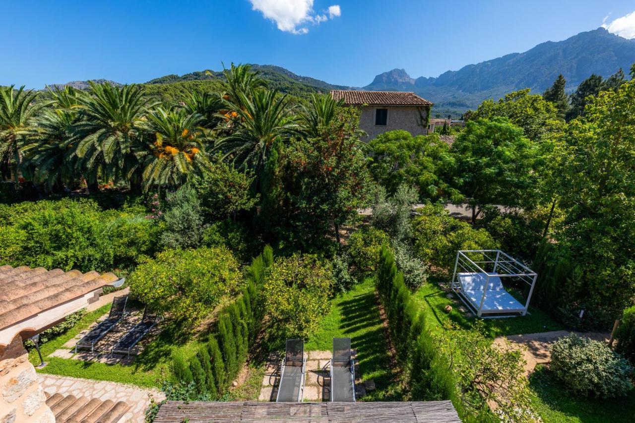 Ca's Curial - - Adults Only * Soller