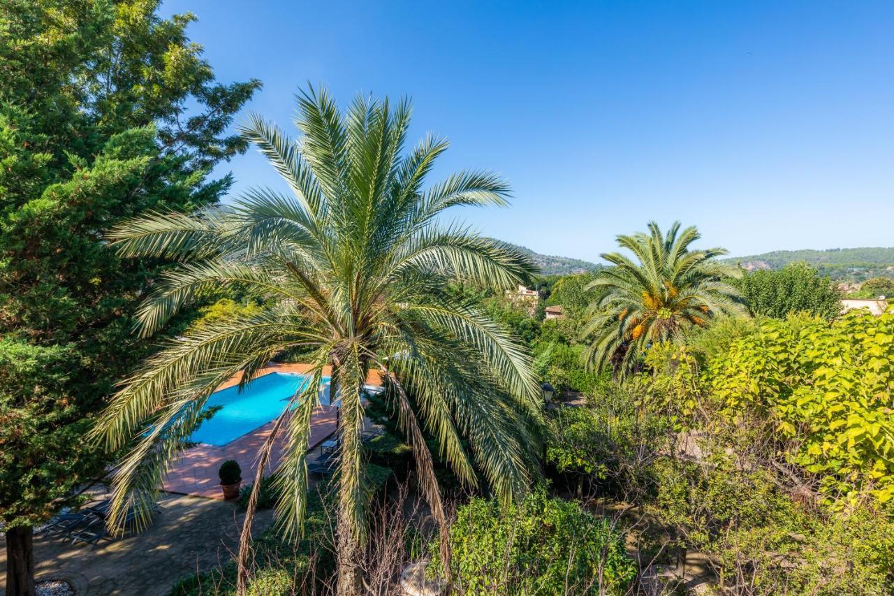 Ca's Curial - - Adults Only Soller