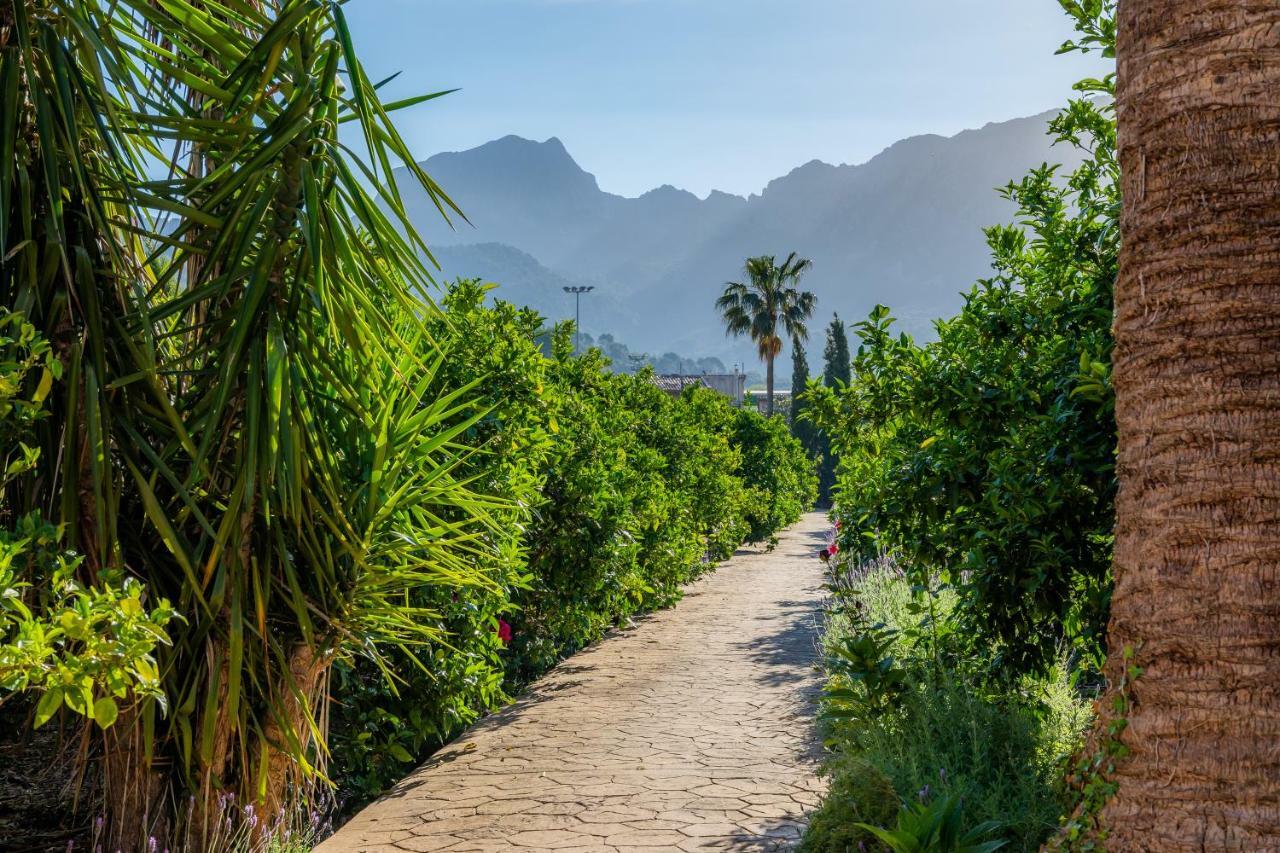 Vakantieboerderij Finca Ca's Curial - Agroturismo - Adults Only *