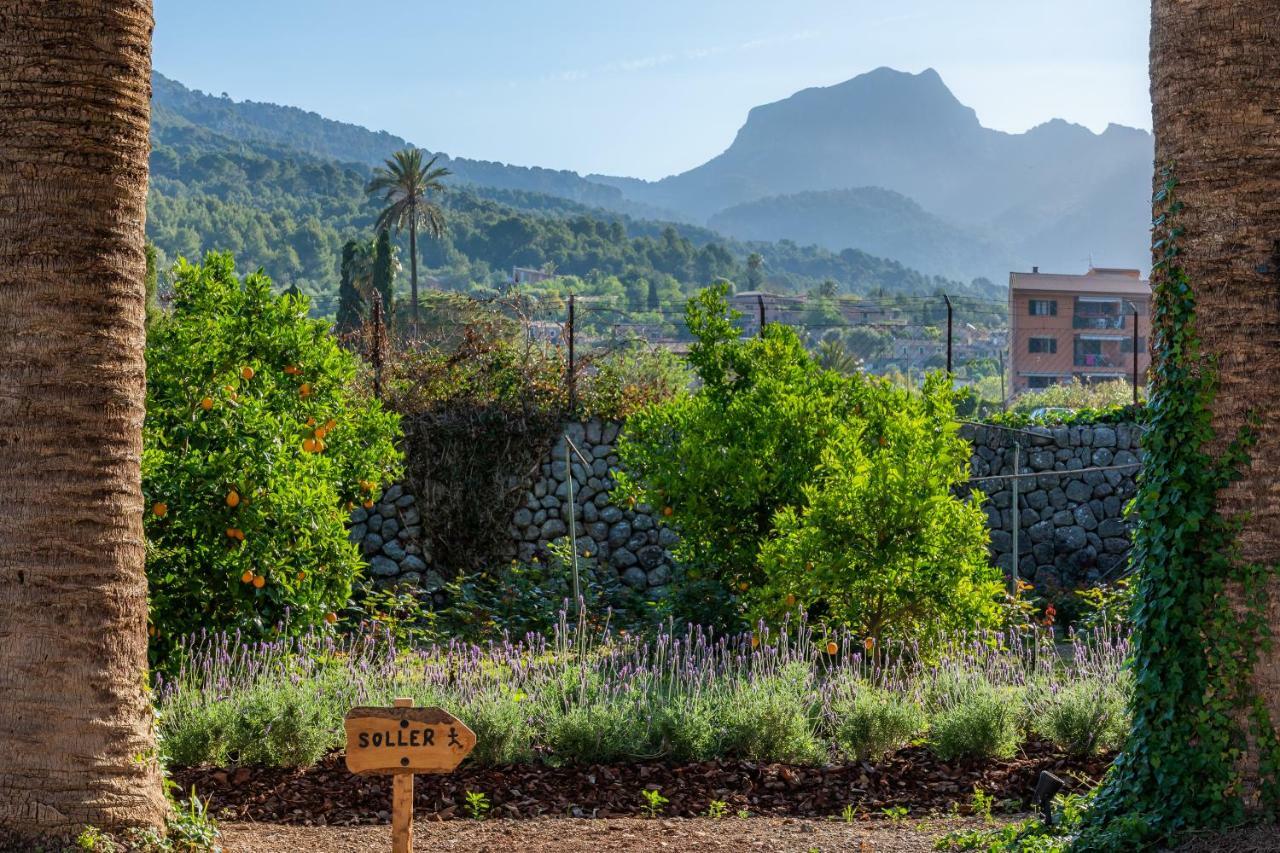 Lantgård Ca's Curial - - Adults Only Sóller